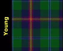Clan Young Tartan, 3celts.com