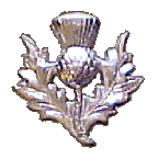 Celtic Stag Chrome Badge Pin Jewelry