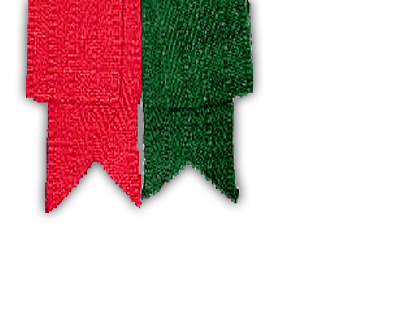 Garter Flashes of Red and Green