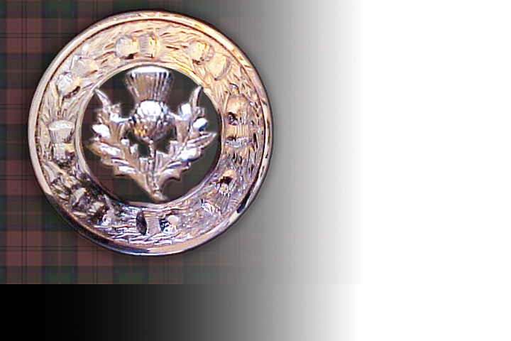 Guardian Thistle Chrome Brooch