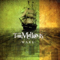 The Tim Malloys :: Wake