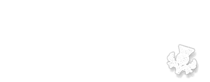 NO SCOTLAND, NO PARTY. T-Shirt on Dark Green XL