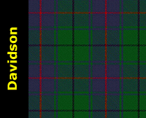 Davidson Tartan Plaid Scarf