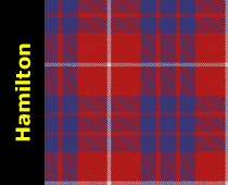 Hamilton Tartan Kilt Plaid Scarf