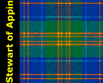 Stewart of Appin Tartan Plaid Scarf