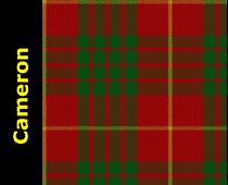 Clan Cameron Tartan Kilt Plaid Scarf