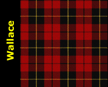 Wallace Tartan Kilt Plaid Scarf