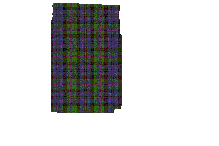 Baird Tartan Kilt Apron