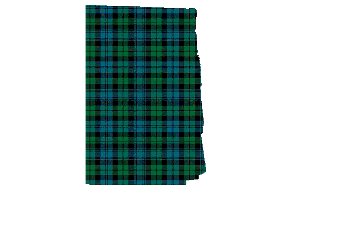 Clan Campbell Ancient Tartan Kilt Apron