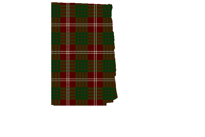 Crawford de Lindsay Tartan Kilt Apron