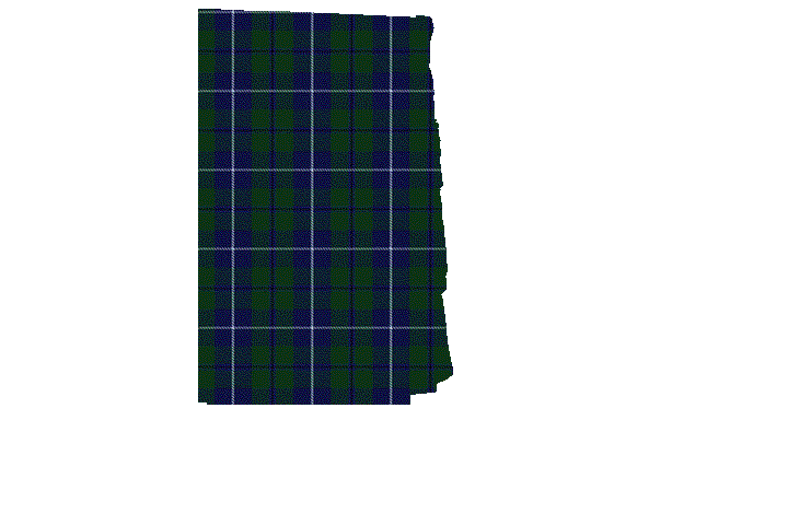 douglas tartan fabric