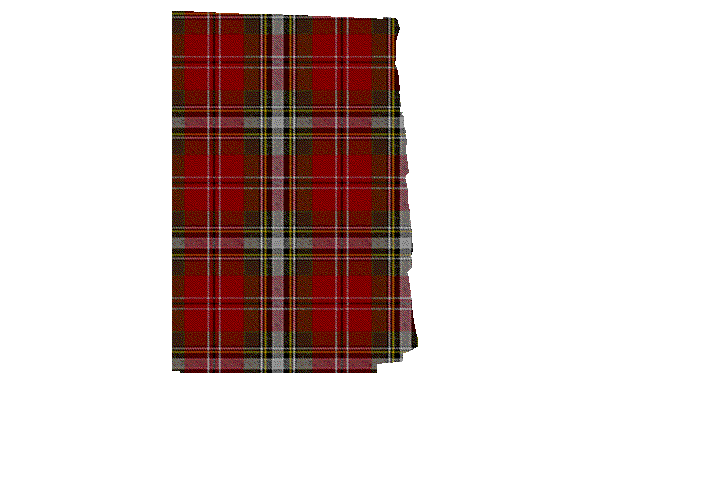 McLean of Duart Weathered Tartan Kilt Apron