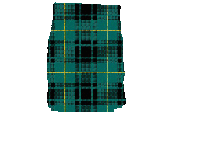 MacArthur Tartan Tartan Kilt Apron