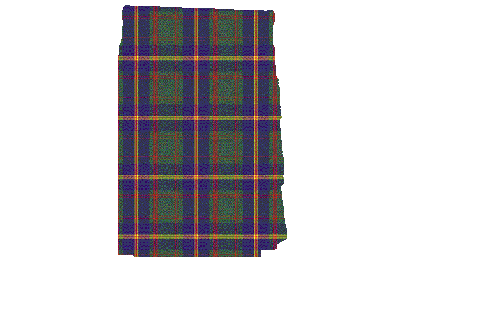 United States Marine Corps Tartan Apron